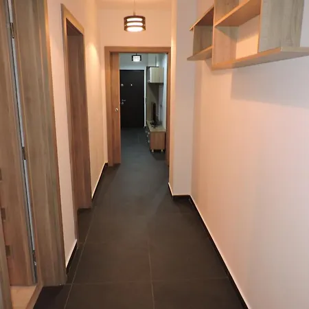 Luxury Floor Croitorilor Apartment *